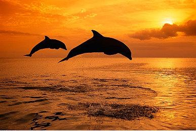 关于一杯奶茶就能游玩异世界这件事